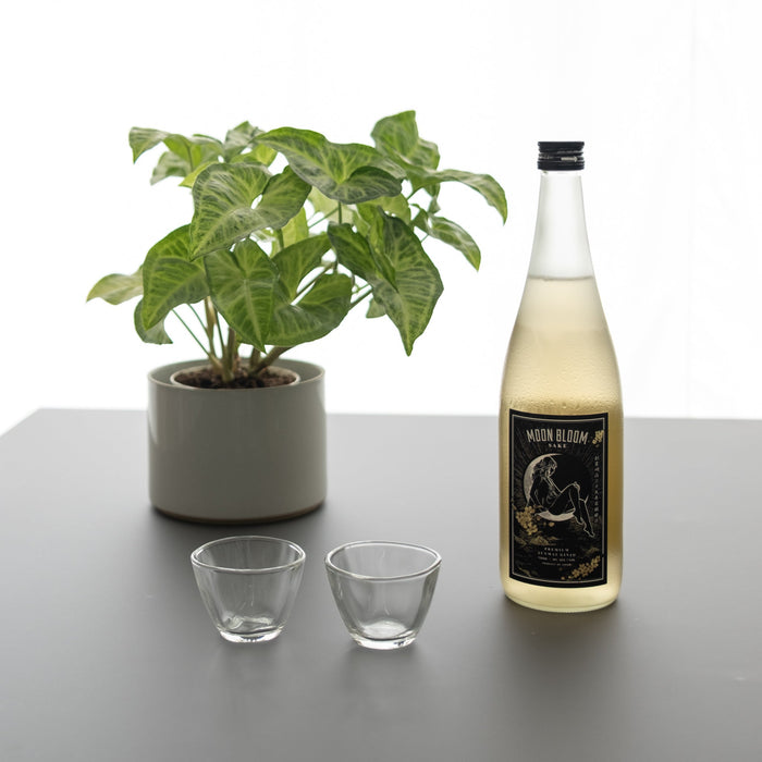 Sake Cup Glass Twist Ginjo | Tortoise General Store