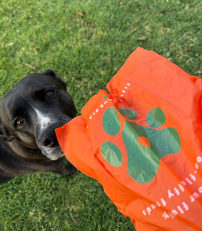 G.K.P. Pet Poopy Bag | Tortoise General Store