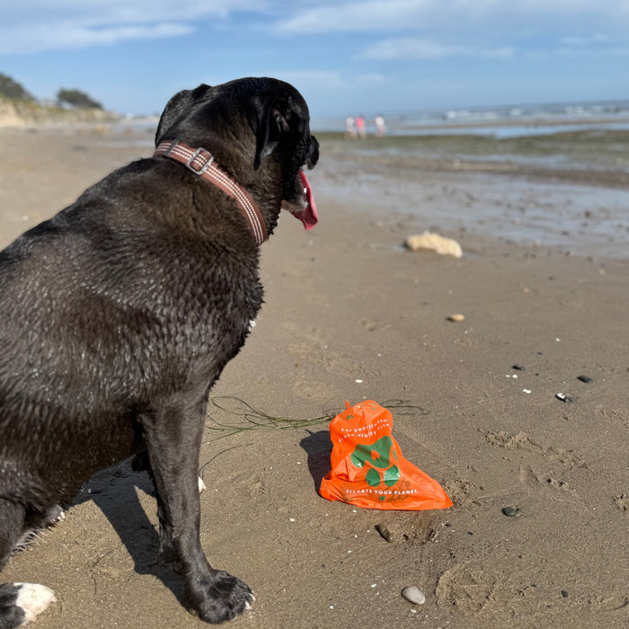 Pet Poopy Bag | tortoise general store