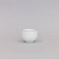 Hakusan Porcelain Tea Cup | Tortoise General Store