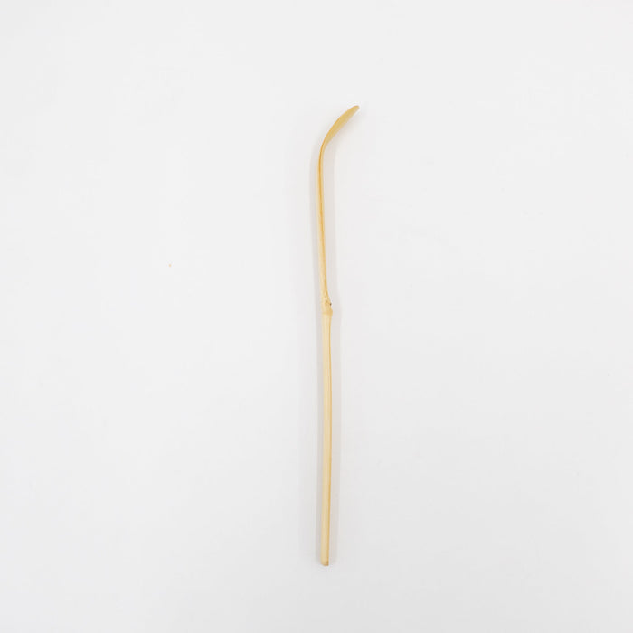 IMA Matcha Scooper | Tortoise General Store
