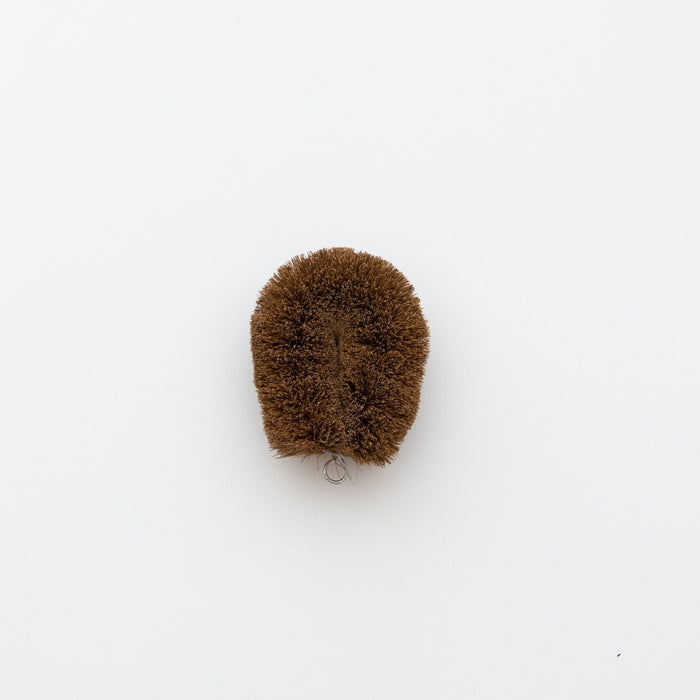 Kamenoko Kitchen Scrubber - tortoise general store