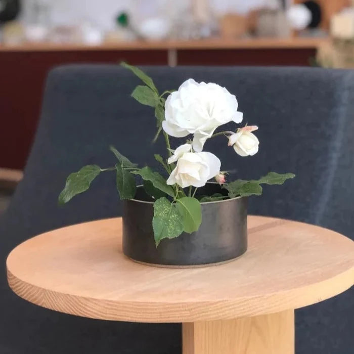 Kenzan Flower Frogs | Tortoise General Store