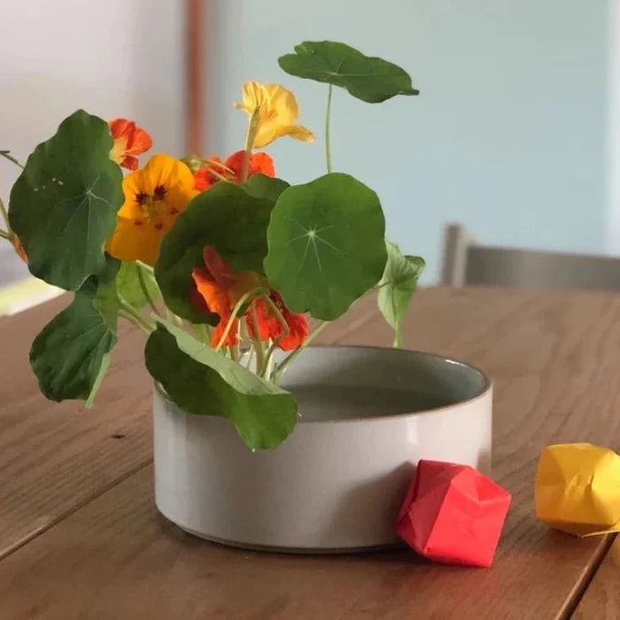 Kenzan Flower Frogs | Tortoise General Store