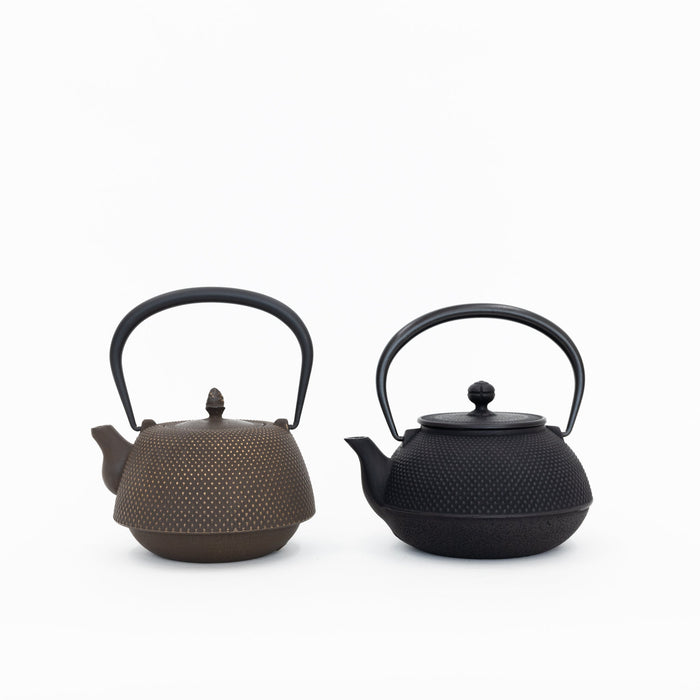 Nanbu Tekki Cast Iron Teapot with Strainer - Arare | Tortoise General Store