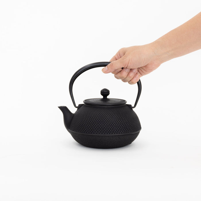 Miya Cast Iron Teapot with Strainer - Arare | Tortoise General Store