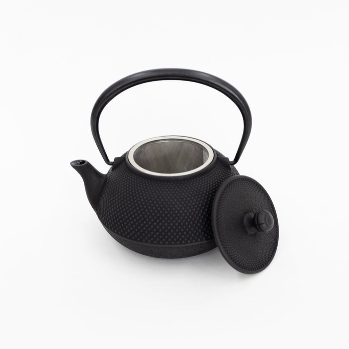 Miya Cast Iron Teapot with Strainer - Arare | Tortoise General Store