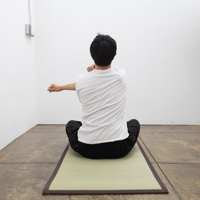 Premium Tatami Mat | Tortoise General Store