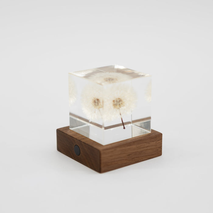 Sola Cube Walnut Light Base | Tortoise General Store