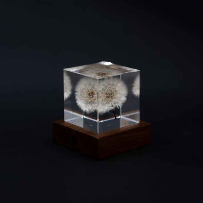 Sola Cube Walnut Light Base | Tortoise General Store