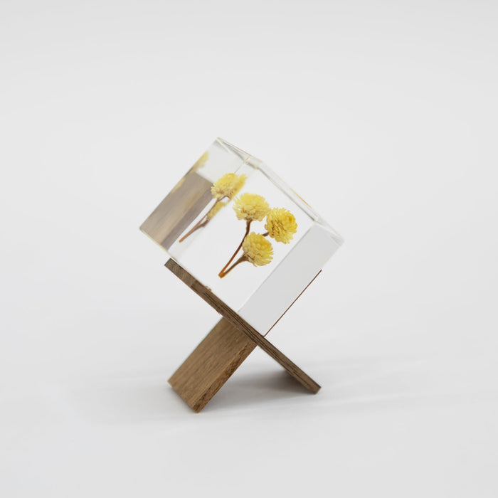 Sola Cube Walnut Stand | Tortoise General Store