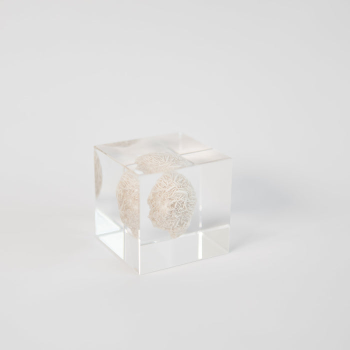 Sola Cubes - Minerals | Tortoise General Store