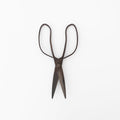 Tajika Copper Scissors - tortoise general store