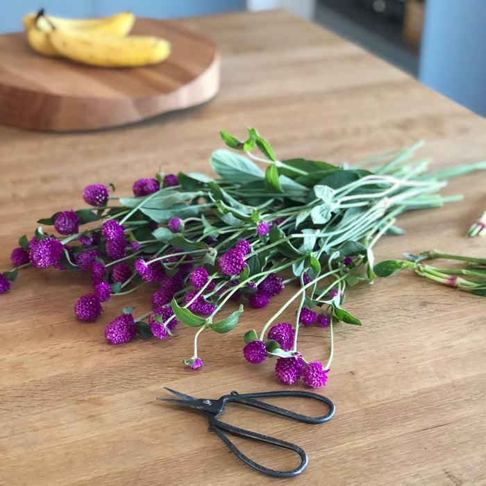 Tajika Flower Scissors - tortoise general store